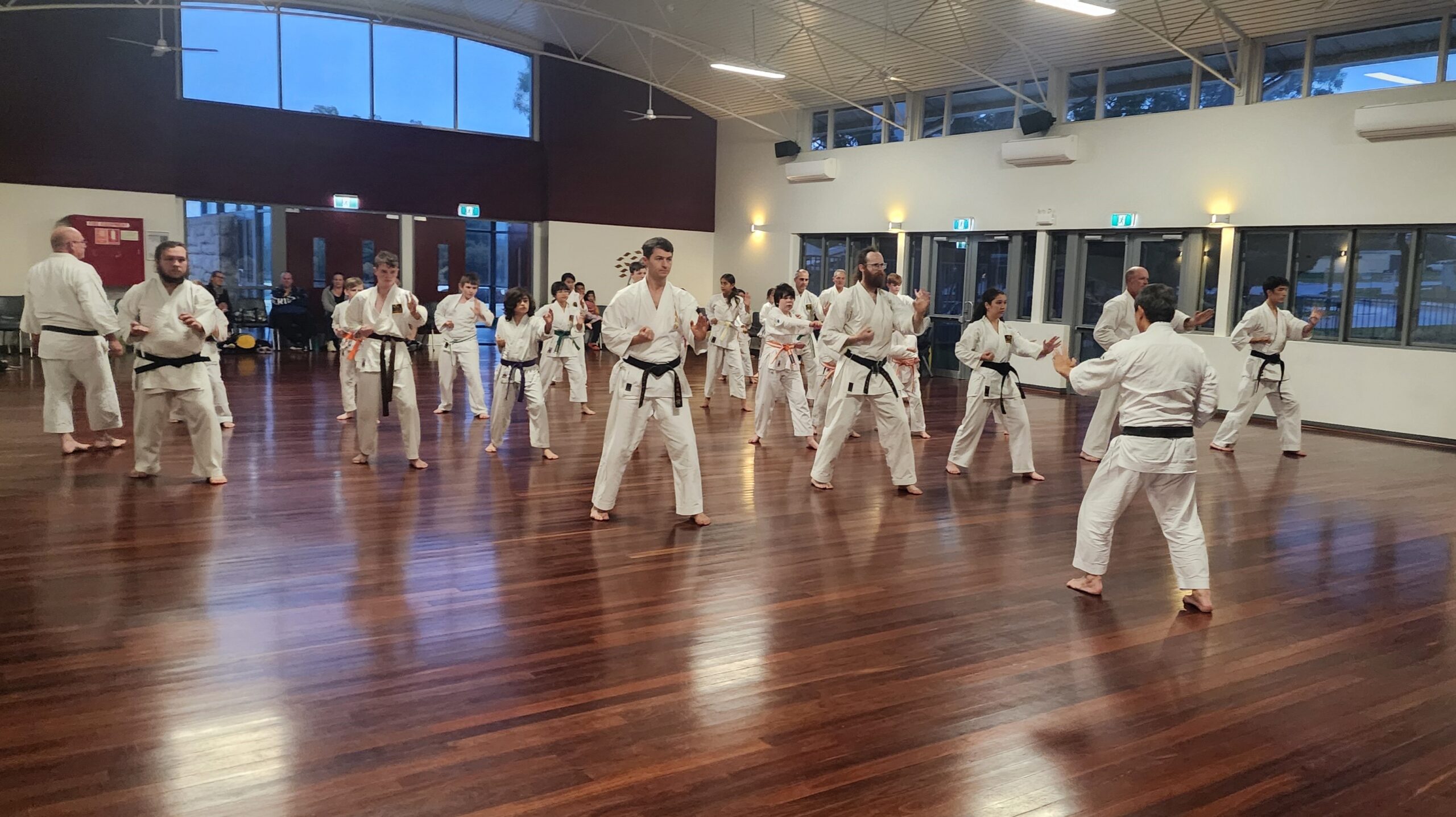 A group of karate practitioners in a hall standing in a guard position