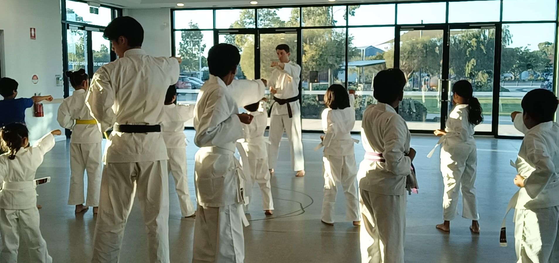 kids in karate class punching