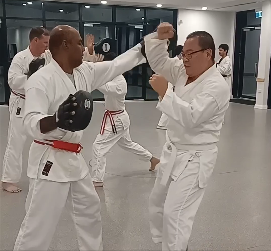 Adults blocking pads